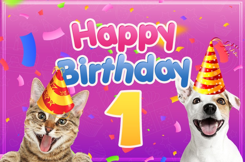 Happy 1st Birthday funny Image with cat and dog