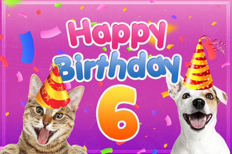 Happy 6th Birthday funny picture with dog and cat