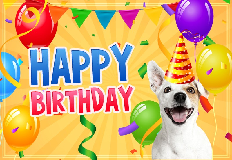 Happy Birthday Funny image with dog