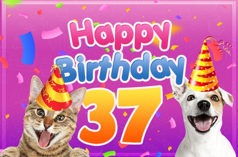 Happy 37th Birthday funny Picture with cat and dog