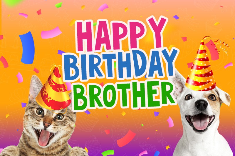 Happy Birthday Brother funny image with dog and cat