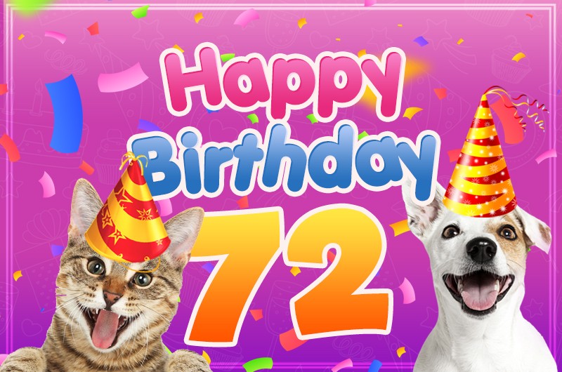 Happy 72nd Birthday funny image with cat and dog