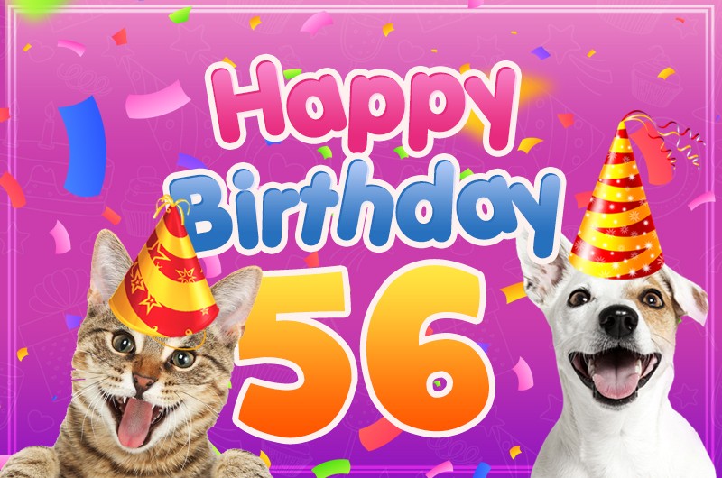 Happy 56th Birthday funny picture with cat and dog