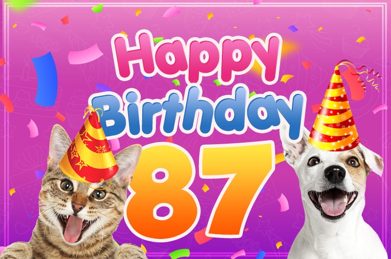 Happy 87th Birthday funny picture with cat and dog