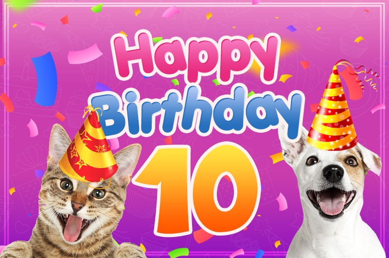 Happy 10th Birthday funny picture with dog and cat	