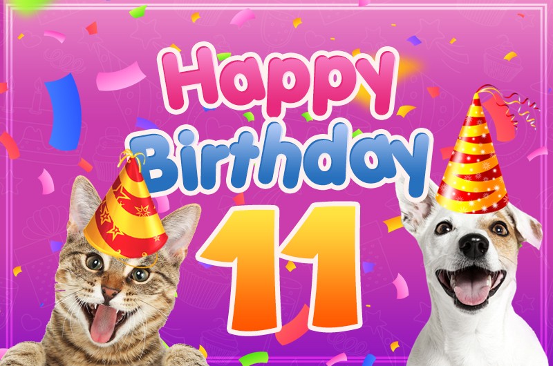 Happy 11th Birthday funny picture with dog and cat