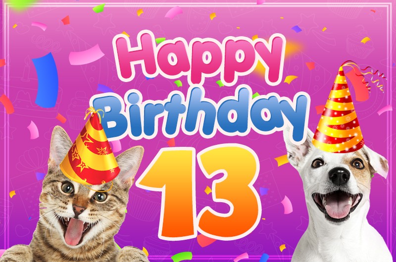 Happy 13th Birthday funny picture with dog and cat