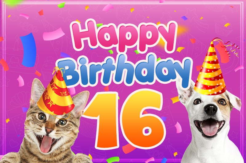 Happy 16th Birthday funny image with dog and cat