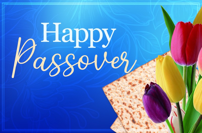 Happy Passover beautiful image with matzo and tulips