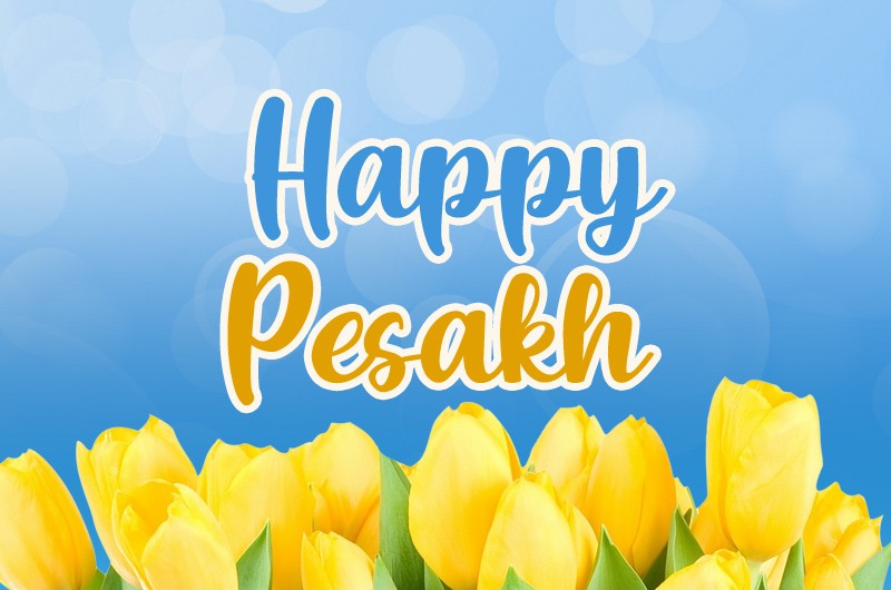 Happy Pesach picture with yellow tulips