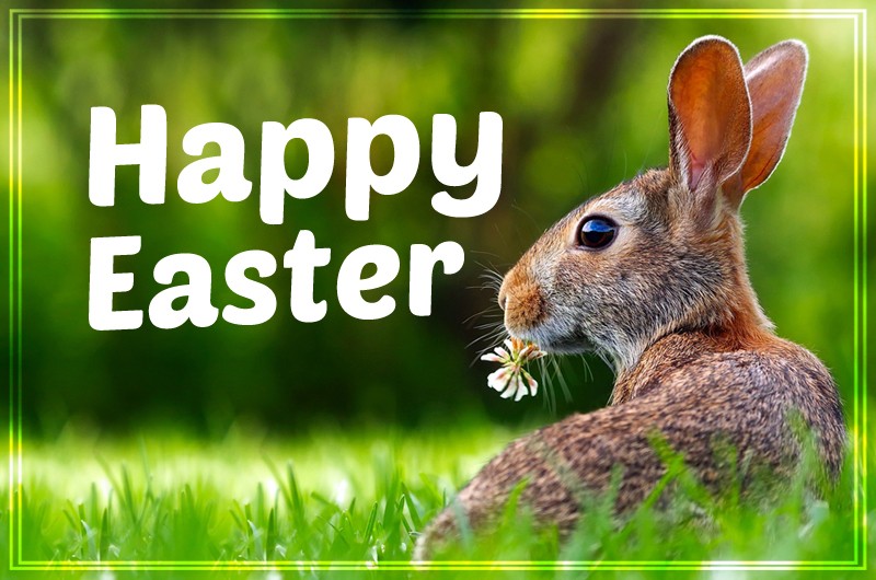 Happy Easter Image with hare on the grass