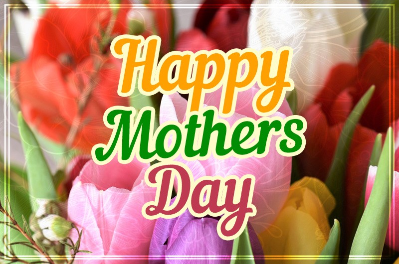 Happy Mother's Day greeting card with colorful tulips