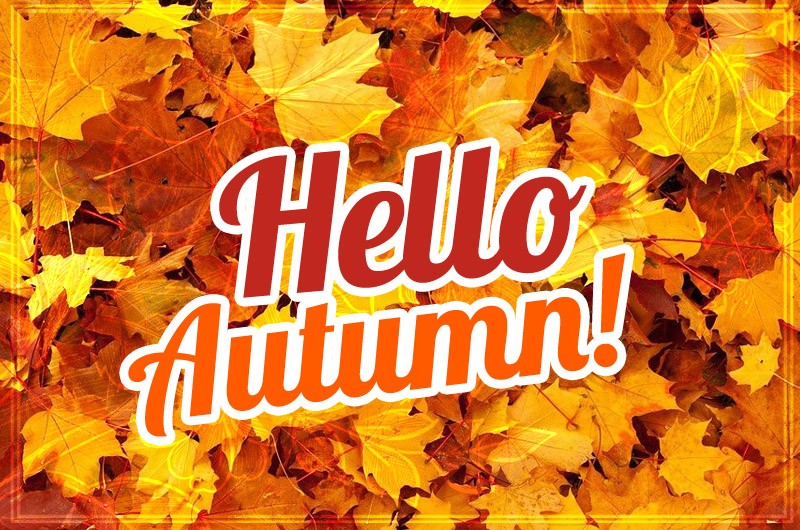 Hello Autumn picture with an inscription on the background of bright autumn leaves