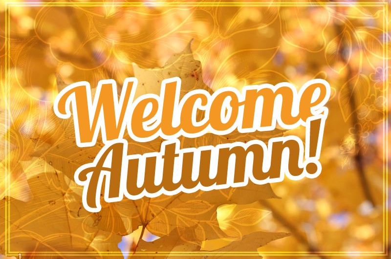 Welcome autumn image with yellowing leaves on a tree