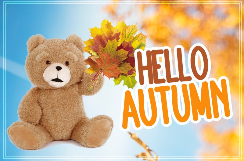 Hello Autumn funny picture of a bear holding a bouquet of fall leaves