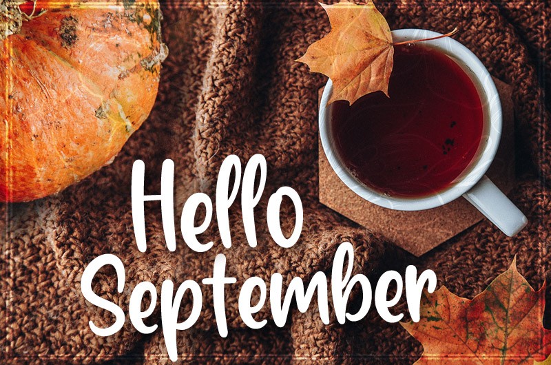 Hello September cosy Image with plaid, hot tea and pumpkin