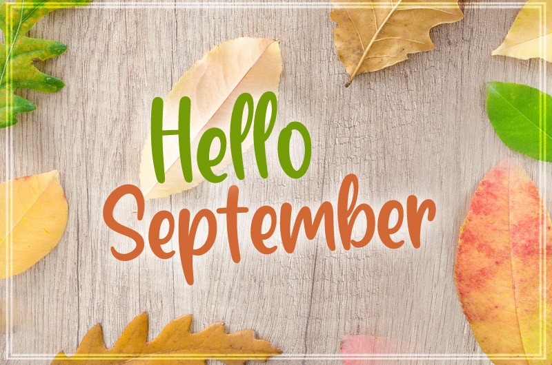 Hello September pic with leaves on a wooden table