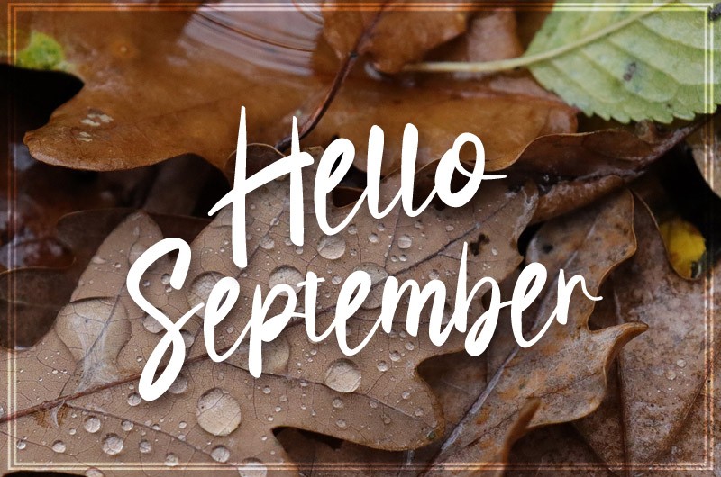 Hello September picture with raindrops on leaves