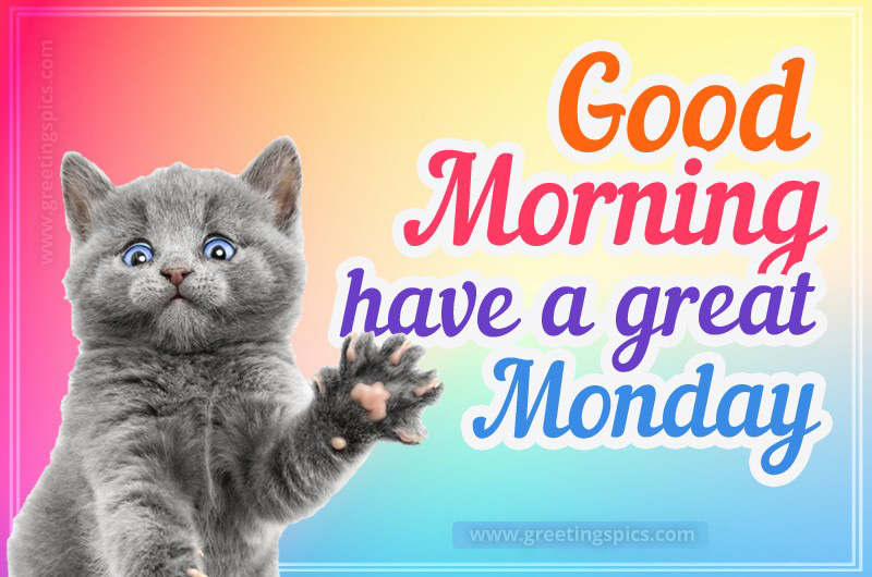 Good Morning Monday colorful image with cute kitten