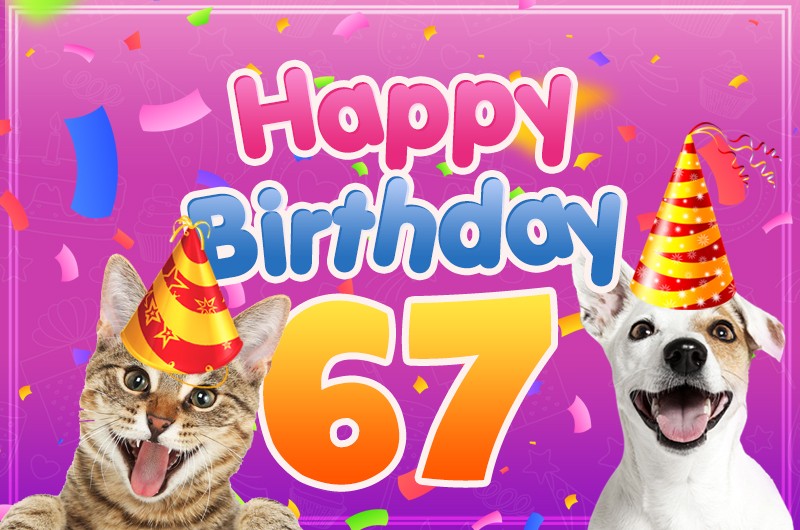 Happy 67th Birthday funny picture with cat and dog