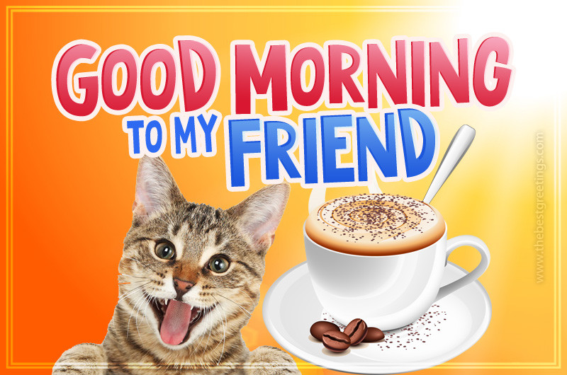 Good Morning to my Friend funny image with smiling cat