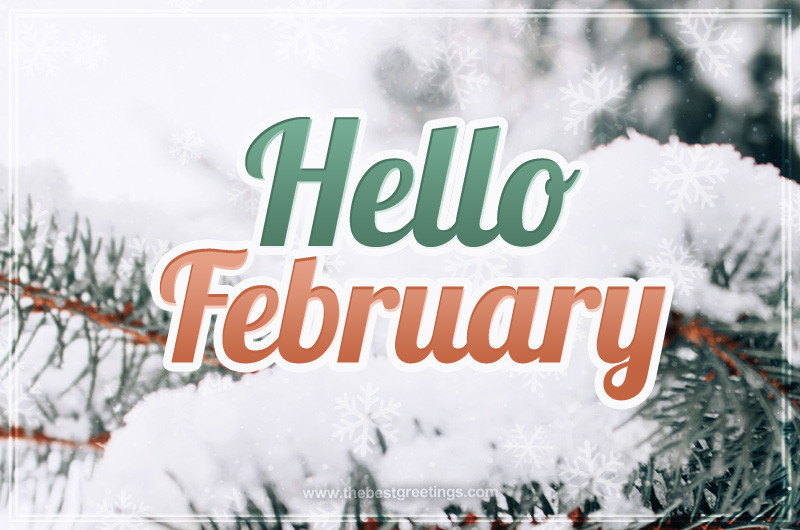 Hello February image with an inscription on a background of snow-covered pine