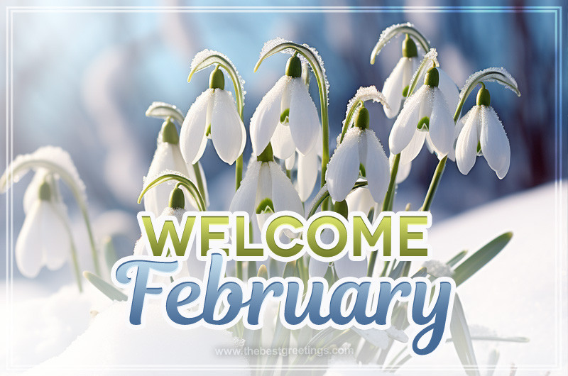 Welcome February image with delicate snowdrops in the snow