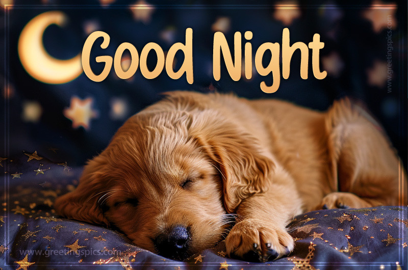 Good Night picture with a cute puppy