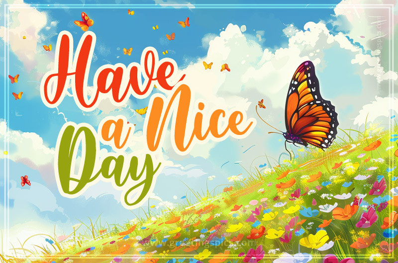 Have a Nice Day bright picture with a beautiful butterfly over a field of flowers