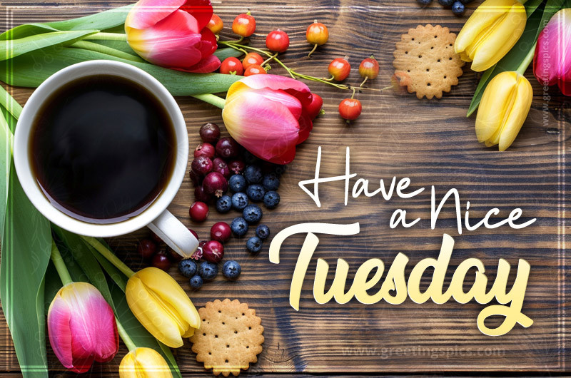 Have a Nice Tuesday image with a cup of coffee and beautiful tulips