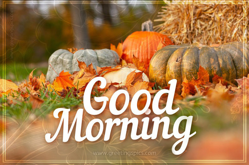 Good Morning picture of pumpkins and hay in the fall forest