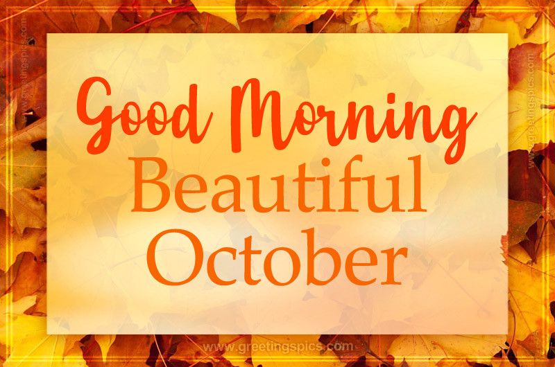 Good Moring Beautiful October Picture with autumn leaves