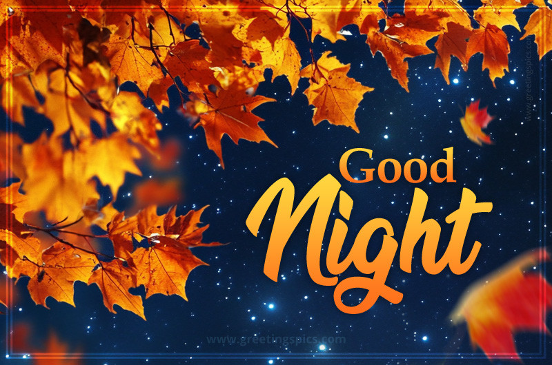 Good Night a picture of fall leaves against a starry sky