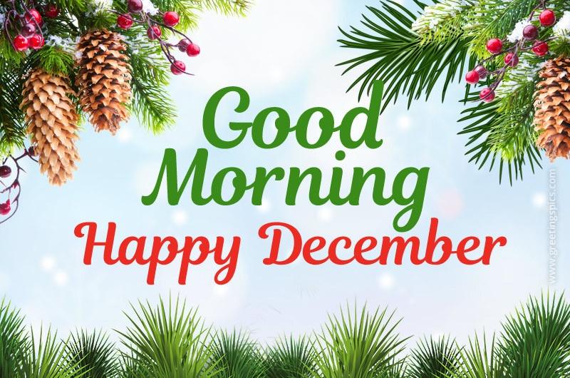 Good Morning Happy December picture with fir branches