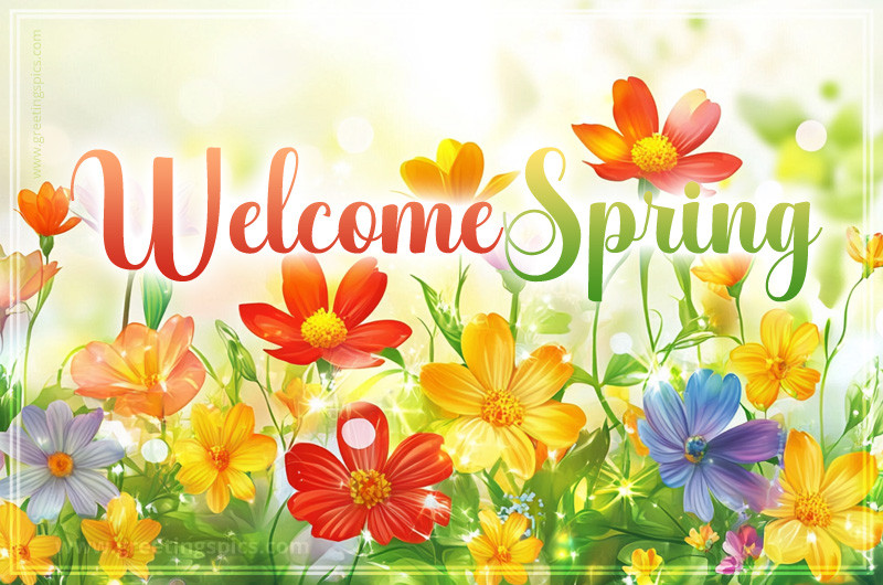 Welcome Spring image with colorful wildflowers