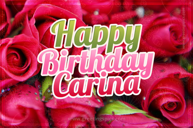 Happy Birthday Carina beautiful Image with red roses