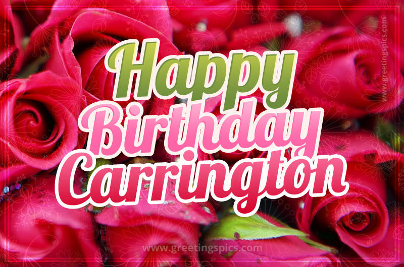 Happy Birthday Carrington beautiful Image with red roses