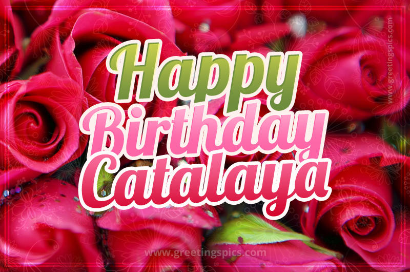 Happy Birthday Catalaya beautiful Image with red roses