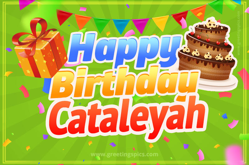 Happy Birthday Cataleyah picture with flags, chocolate cake and gift box