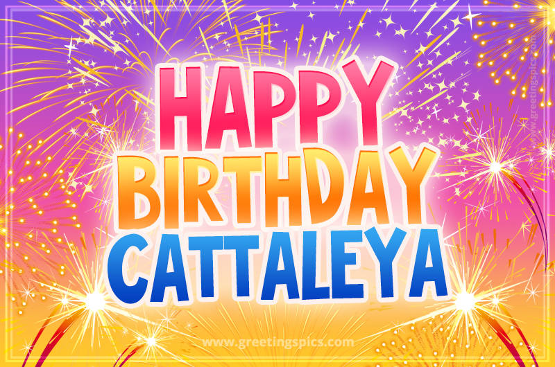 Happy Birthday Cattaleya Picture with fireworks