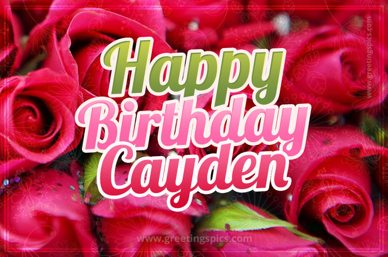 Happy Birthday Cayden beautiful Image with red roses