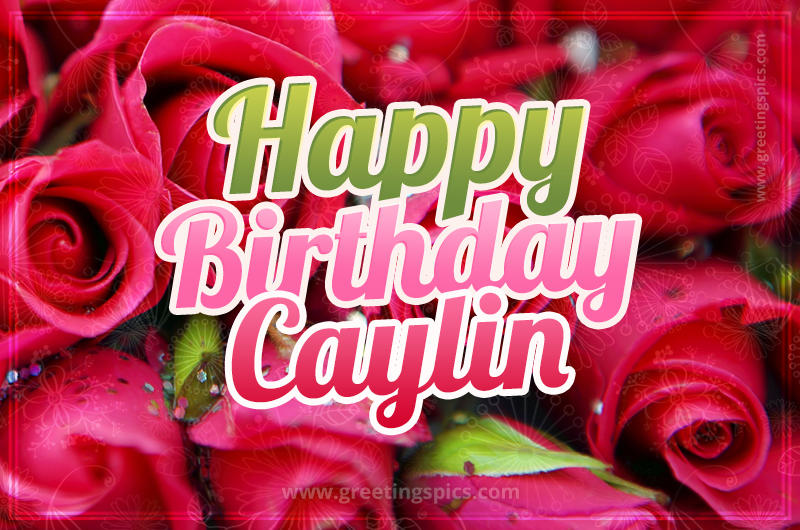 Happy Birthday Caylin beautiful Image with red roses