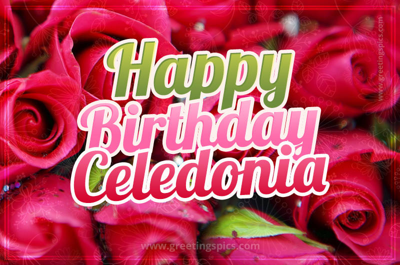 Happy Birthday Celedonia beautiful Image with red roses