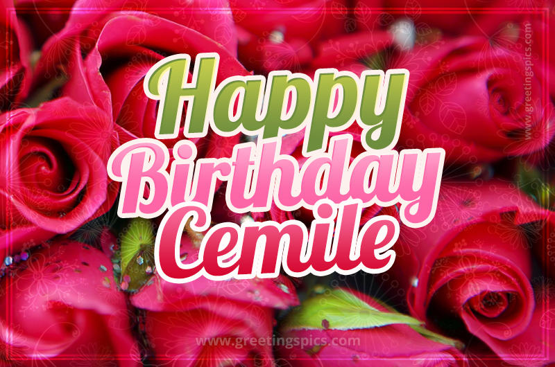 Happy Birthday Cemile beautiful Image with red roses