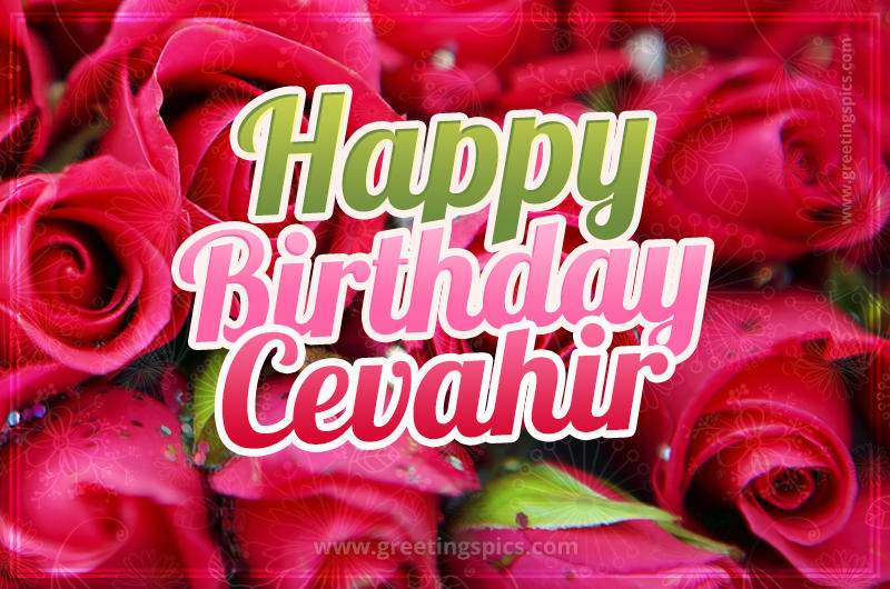 Happy Birthday Cevahir beautiful Image with red roses