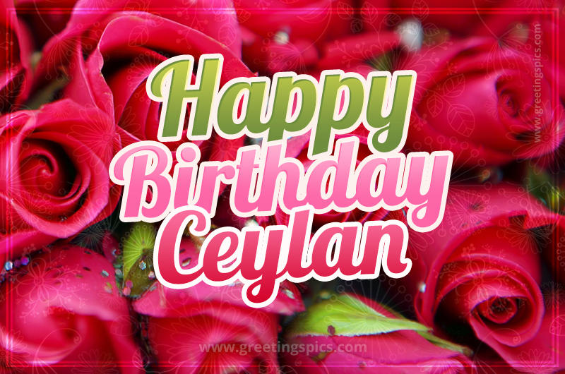 Happy Birthday Ceylan beautiful Image with red roses