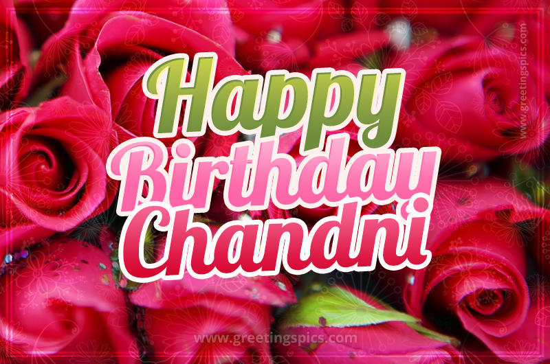 Happy Birthday Chandni beautiful Image with red roses