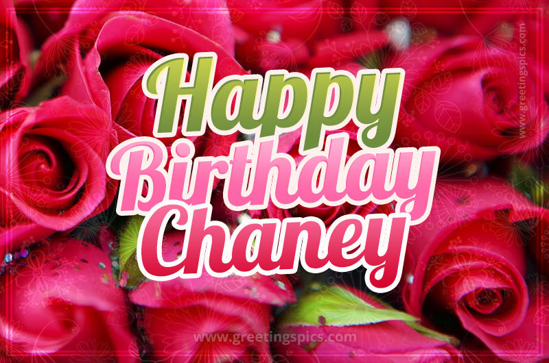 Happy Birthday Chaney beautiful Image with red roses