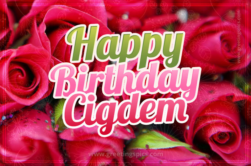 Happy Birthday Cigdem beautiful Image with red roses