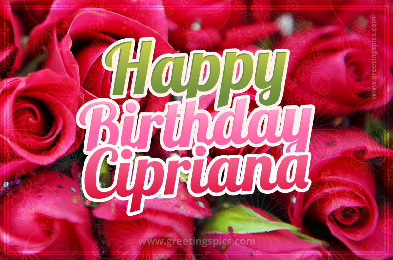 Happy Birthday Cipriana beautiful Image with red roses